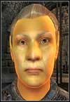 High Elf - Races - Character Creation & Development - The Elder Scrolls IV: Oblivion - Game Guide and Walkthrough