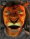 Khajiit - Races - Character Creation & Development - The Elder Scrolls IV: Oblivion - Game Guide and Walkthrough