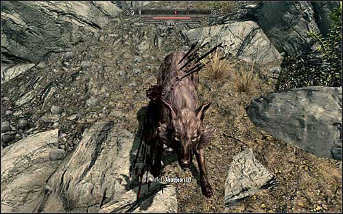 Keep heading north and be ready to fight off some Wolves (screen above) - Meeting with Gerdur | Before the Storm - Before the Storm - The Elder Scrolls V: Skyrim Game Guide