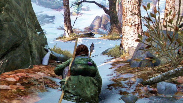 You will find them in Ellie’s backpack after you start the stage - Lakeside Resort - Artifacts and pendants - The Last of Us - Game Guide and Walkthrough