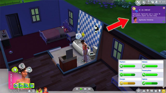 Sims 3 User Interface Glitch