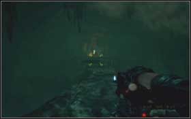 buy The Environmental Implications of Privatization: