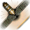 Spall Liner - Equipment - Advanced tips - World of Tanks - Game Guide and Walkthrough