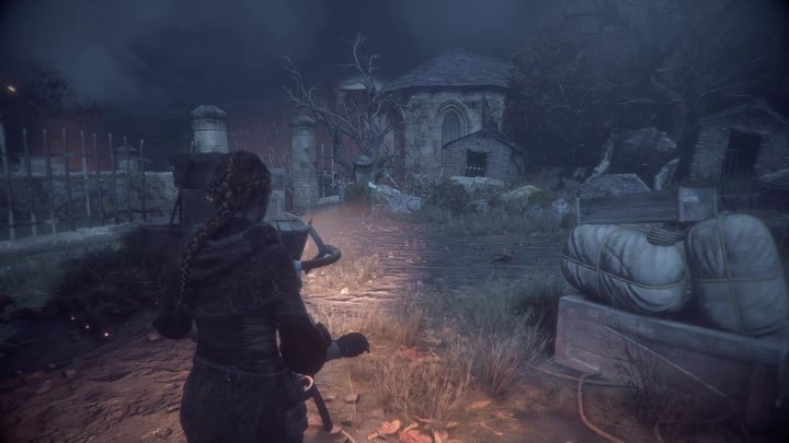 You can now take the chest and put it in the crevasse - Chapter VIII - Our Home | A Plague Tale walkthrough - Walkthrough - A Plague Tale Guide