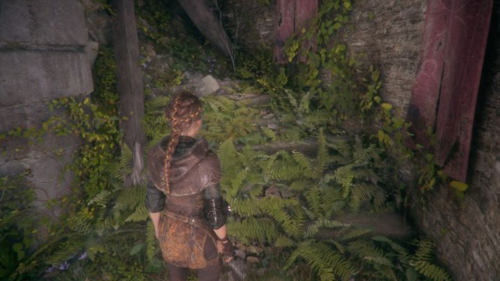 The second curiosity is the Bird Language Manual - Curiosities - Secrets and collectibles in A Plague Tale - Secrets and collectibles - A Plague Tale Guide