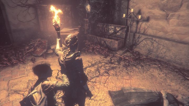 The Family Tree, the second feature you can find in this chapter, is in the Bearices workshop - Curiosities - Secrets and collectibles in A Plague Tale - Secrets and collectibles - A Plague Tale Guide