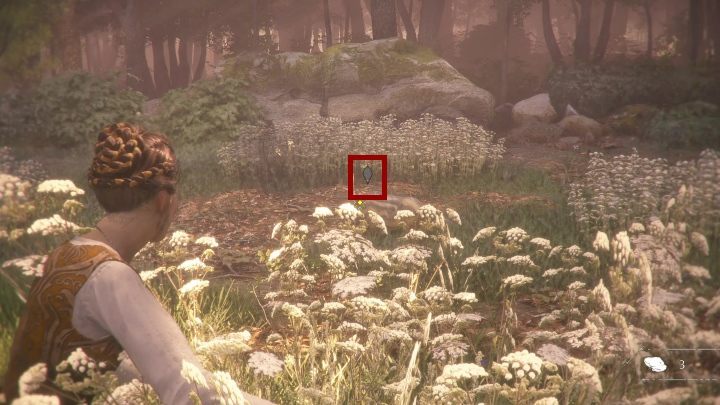 After this sequence, you will have one more sequence of a pursuit of the dog - Chapter I - Legacy of De Rune Family | A Plague Tale walkthrough - Walkthrough - A Plague Tale Guide