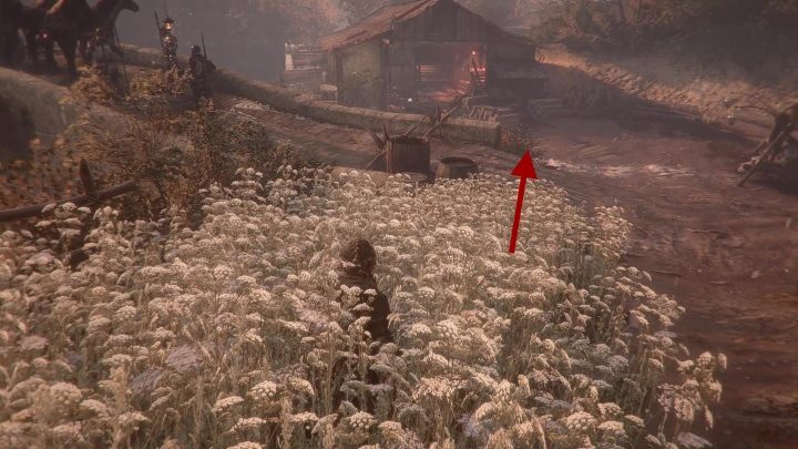 You reach a small warehouse - Chapter IV - The Apprentice | A Plague Tale walkthrough - Walkthrough - A Plague Tale Guide