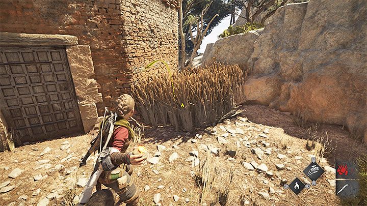 There is tall grass next to the ruins - set it on fire with Ignifer - Plague Tale Requiem: Chapter 9 (Tales and Revelations) - secrets and collectibles - Hugo Herbarium and Souvenirs - A Plague Tale Requiem Guide, Walkthrough