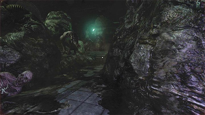 Sie betreten einen Raum mit einer großen Anzahl schlafender Monster – Amnesia Rebirth: The Catacombs – Komplettlösung, Geheimnisse – Komplettlösung – Amnesia Rebirth Guide
