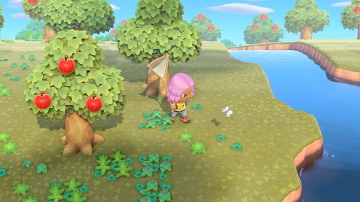 If you spot an owl or a yellow bird sitting on the bulletin board in the main square, it means that a new announcement has appeared - Animal Crossing New Horizons Guide