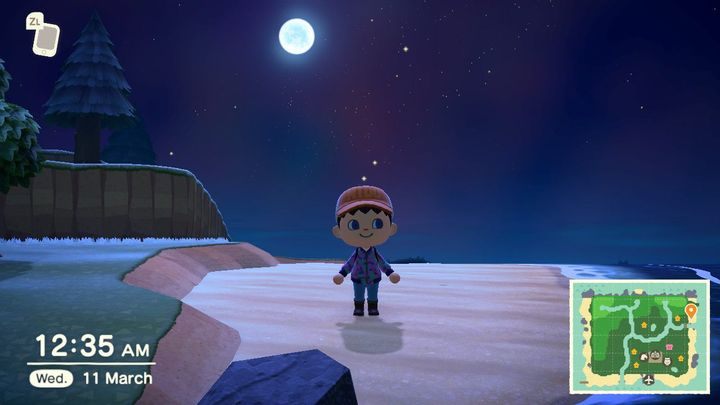 Por la noche, puede capturar diferentes insectos o peces que durante el día.  - Guía de Animal Crossing New Horizons