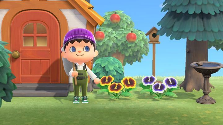 Being in hurry? Why - in this game you dont have to rush yourself anywhere. - Animal Crossing: Starting tips - Basics - Animal Crossing New Horizons Guide