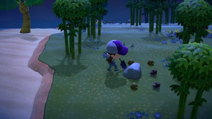 Es hängt von Ihrem Glück ab und davon, wie viel Zeit Sie im Spiel verbringen – ACNH: Vogelspinne – wie fängt man sie?  – Gegenstände – Leitfaden für Animal Crossing New Horizons