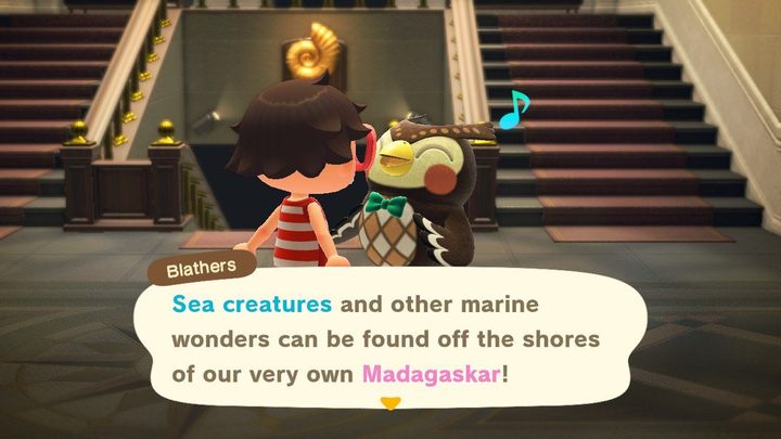 Blathers nimmt gerne alle Meeresbewohner an, die Sie ihm bringen.  - ACNH: Meeresbewohner – wie fängt man sie?  – Gegenstände – Leitfaden für Animal Crossing New Horizons