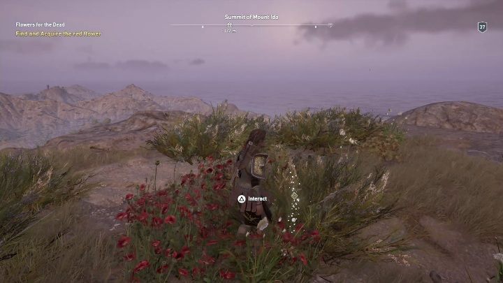 Description: Head to the peak of Mt Ida, where youll find red flowers - AC Odyssey: Messara, Side Quests - Side Quests - Assassins Creed Odyssey Guide