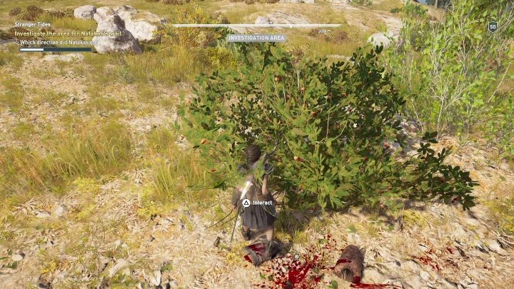 Together with Darius, go looking for his descendant - AC Odyssey Legacy of the first blade: Stranger Tides - Episode 2 - Shadow Heritage - Assassins Creed Odyssey Guide