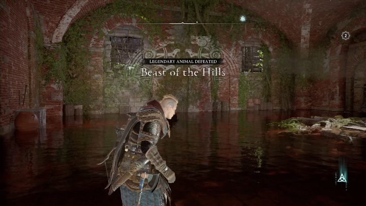 However, in order for the location to be cleared you have to return to the arena - Assassins Creed Valhalla: Legendary Animal - Sciropescire, Secrets, Locations - Sciropescire - Assassins Creed Valhalla Guide