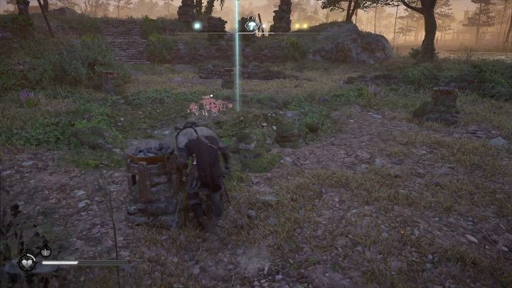 On this map, you will come across one location with Fly Agaric - Assassins Creed Valhalla: Grantebridgescire map - England - Assassins Creed Valhalla Guide