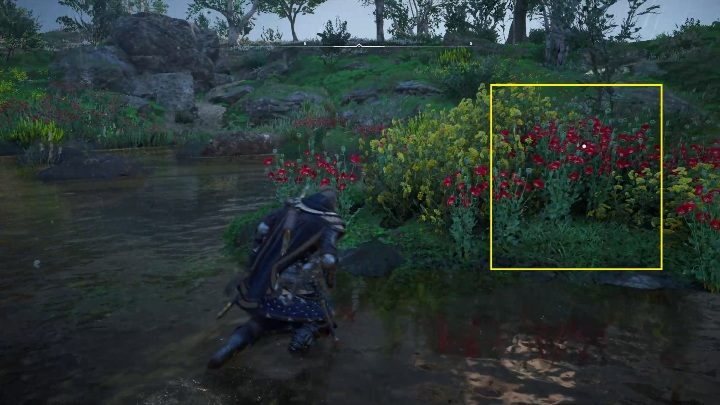The schematic lies among the flowers, on one of the small islets in the middle of the lake - Assassins Creed Valhalla: Treasure Hoard Map - Suthsexe secrets, locations - Suthsexe - Assassins Creed Valhalla Guide