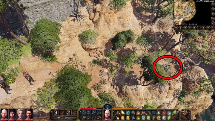 In this option you will explore the side area shown in the picture - Baldurs Gate 3: Overgrown Ruins - how to enter? Puzzle solution - Solutions to puzzles - Baldurs Gate 3 Guide, Walkthrough