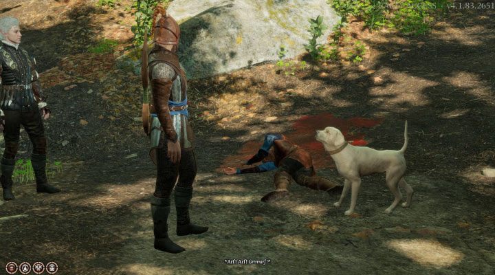 Scratch, the dog initially stays in the woods northeast of the Blighted Village - Baldurs Gate 3: Camp guide - Team - Baldurs Gate 3 Guide, Walkthrough