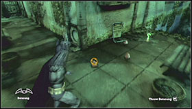 Collectibles Botanical Gardens Part 2 Batman Arkham Asylum Game Guide Walkthrough Gamepressure Com