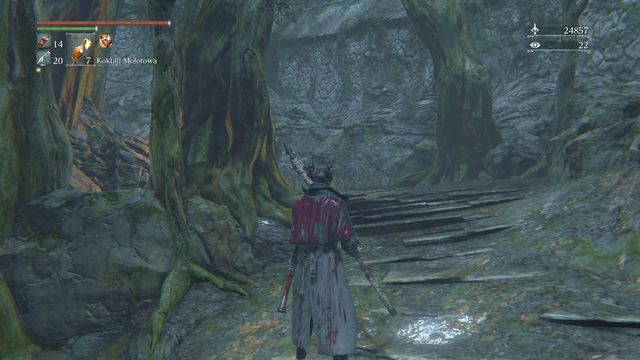 How To Get To Forbidden Forest Bloodborne Forbidden Woods | Walkthrough - Bloodborne Game Guide & Walkthrough