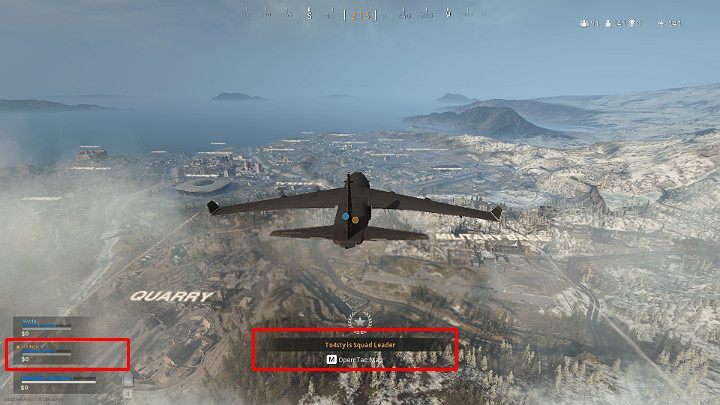 The role of the team leader is randomly assigned and if you dont want to take on that responsibility you can always relinquish that role to someone else - Warzone: Teamwork - Basics - Warzone Guide