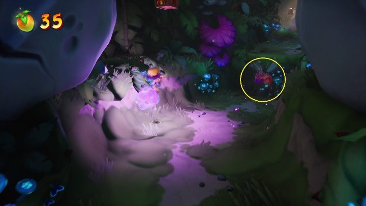 Your opponents will be right in your way - Crash 4: Fossil Fueled walkthrough - Eggipus Dimension, 88 Milion B.C.B - Crash 4 Guide, Walkthrough