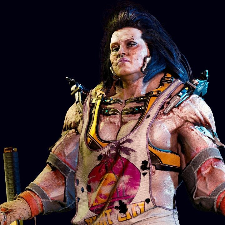 At the head of the Animals is Sasquatch from the above image, and it is already known that it will be one of the bosses of the game - Cyberpunk 2077: Factions - general information - Factions - Cyberpunk 2077 Guide