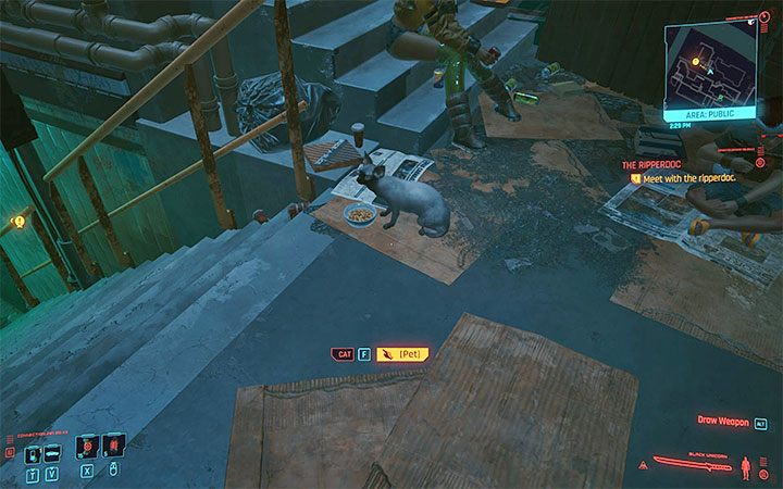 Yes, although there won't be many species - Cyberpunk 2077: FAQ - Campaign - Cyberpunk 2077 Guide