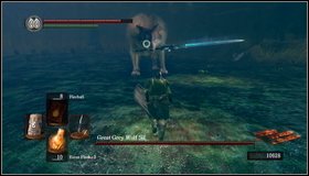 Great Grey Wolf Sif How To Kill A Boss Dark Souls Game Guide Walkthrough Gamepressure Com
