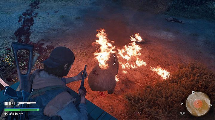 Bears can also occur in further parts of the game but they will not have any special health bars - Days Gone: Bear boss in Lots of Sick People - how to kill? - FAQ - Days Gone Guide