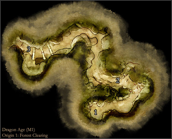 1 - Map M1: Forest clearing | Maps of locations - Maps of locations - Dragon Age: Origins Game Guide