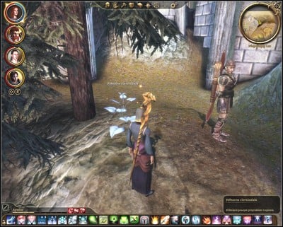 curl Sister Romance Walkthrough - The Wending Wood - Dragon Age: Origins - Awakening Game Guide  & Walkthrough | gamepressure.com