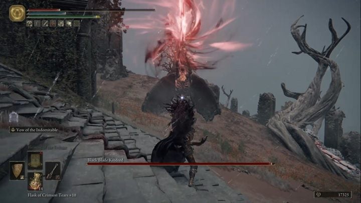 Black Blade Kindred uses two weapons - a sword and a great ax - Elden Ring: Black Blade Kindred - boss, how to beat? - Greyoll Dragon Barrows - Elden Ring Guide