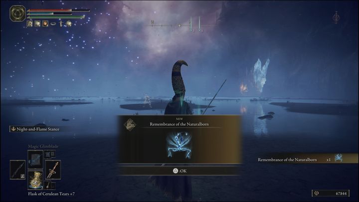 For defeating Astel, Naturalborn of the Void, you will receive 80,000 Runes and the Remembrance of the Naturalborn - Elden Ring: Astel, Naturalborn of the Void - boss, how to beat? - Lake of Decay - Elden Ring Guide