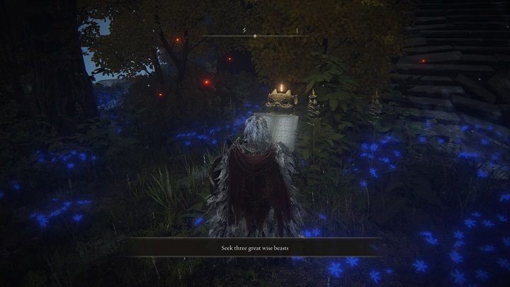 You must solve a puzzle to enter Chelona's Rise - Elden Ring: Legendary Sorceries and Incantations - Trophy Guide - Elden Ring Guide