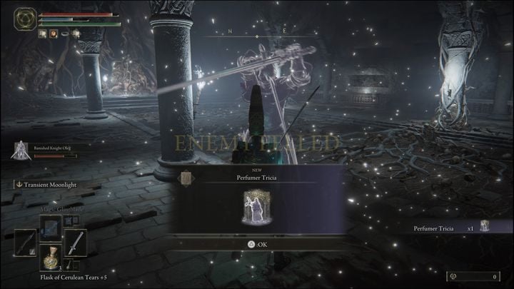For defeating them you will receive Perfumer Tricia Ashes and 9,400 Runes - Elden Ring: Perfumer Tricia and Misbegotten Warrior - boss, how to beat? - Altus Plateau - Elden Ring Guide