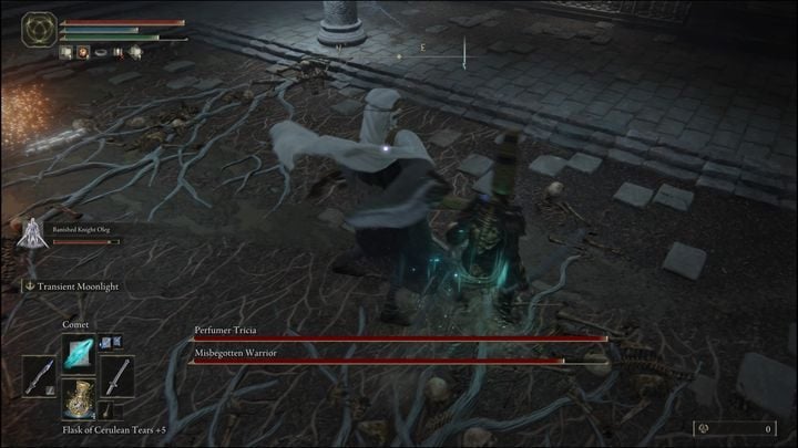 Tricia will hide behind a shield - break her guard with jumping attacks or heavy, charged attacks - Elden Ring: Perfumer Tricia and Misbegotten Warrior - boss, how to beat? - Altus Plateau - Elden Ring Guide