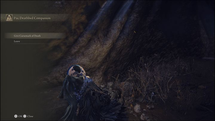 Then you will receive a quest to find the Cursemark of Death - Elden Ring: Fia - walkthrough - Quests - Elden Ring Guide