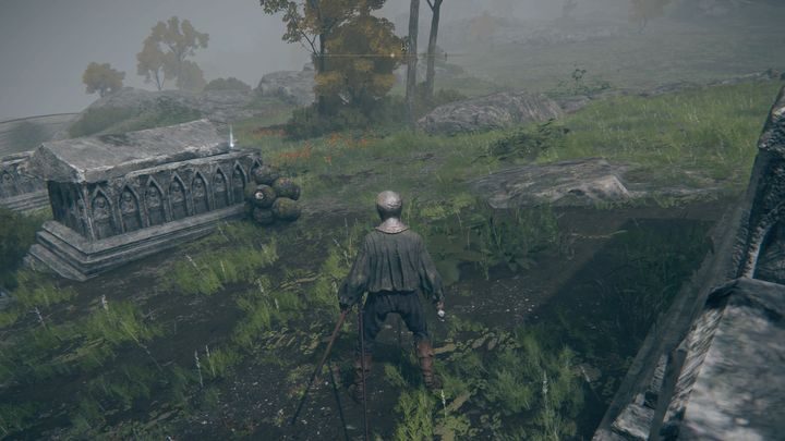 Because some of them are in caves, you'll have to stick close to the walls to locate their entrances - Elden Ring: Sites of Grace (Limgrave) - list of all - Limgrave - Elden Ring Guide