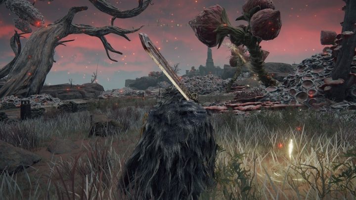 Below, on the map you can see the exact location of the cathedral - Elden Ring: Cathedral of Dragon Communion - how to reach? - FAQ - Elden Ring Guide