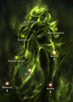 The name of the skill - 10. Level 50 - The Elder Scrolls Online in 10 Easy Steps - The Elder Scrolls Online Game Guide