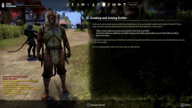 A guild - 2. The group and guilds - The Elder Scrolls Online in 10 Easy Steps - The Elder Scrolls Online Game Guide