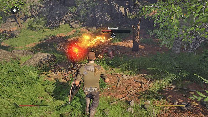 Kampanyayı yalnızca Elex 2'de başlatıyorsunuz - Elex 2: Companions - nerede bulunur, nasıl açılır?  - Oyun dünyasının keşfi - Elex 2 Guide