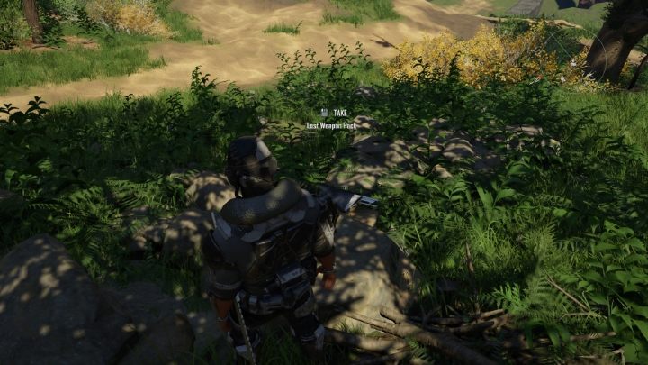 Продолжайте путь и через некоторое время поверните направо - на камнях будет лежать еще один пакет - Elex 2: Missing Cleric Trader (Carakis) - прохождение - Carakis (Миссии в замке) - Elex 2 game guide