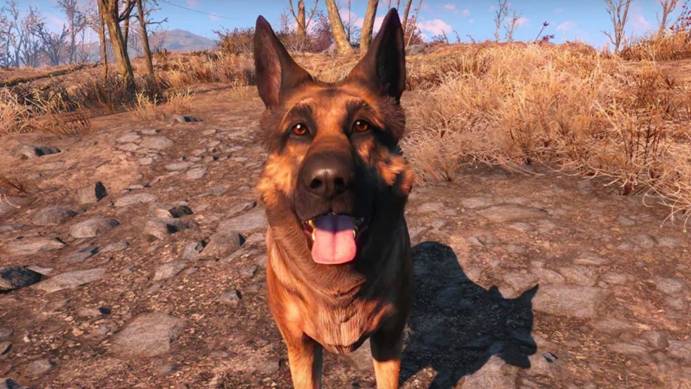 Everyone's Best Friend - Dogmeat always by your side | Mods for Fallout