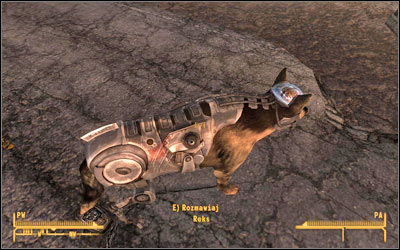 nothing but a hound dog fallout nothing but a hound dog fallout